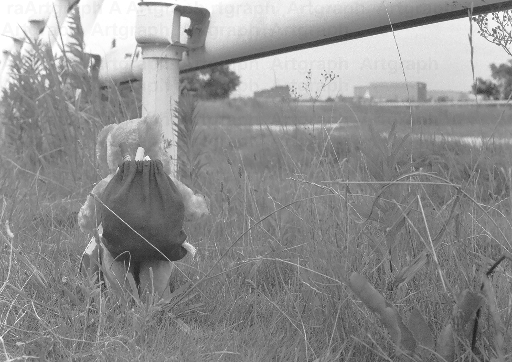 Junko Sakamoto 
title " make path "
-Gelatin Silver Print- 